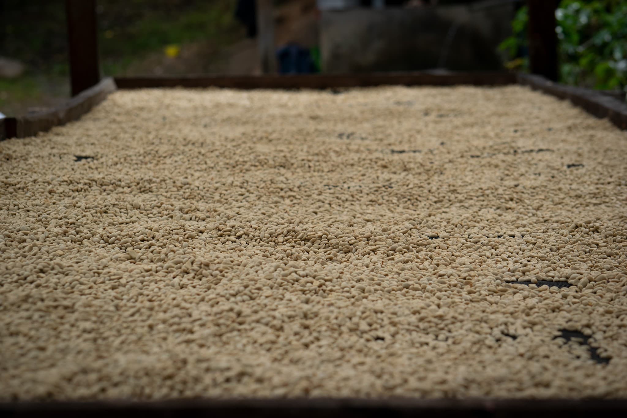 Product picture from PeruEsCafe.com